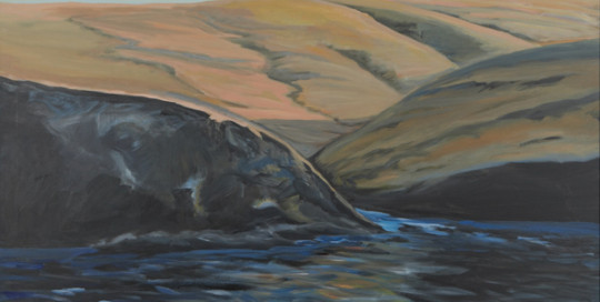 Santa Cruz Island 48x36